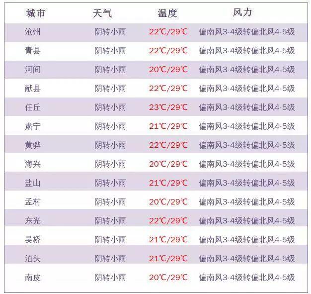 滄州公租房最新消息全面解讀，滄州公租房最新動態(tài)全面解析