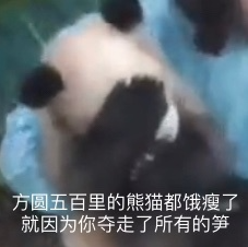 蒙牛奶最新事件，品質(zhì)堅(jiān)守與責(zé)任擔(dān)當(dāng)，蒙牛奶品質(zhì)堅(jiān)守與責(zé)任擔(dān)當(dāng)?shù)淖钚率录?bào)道