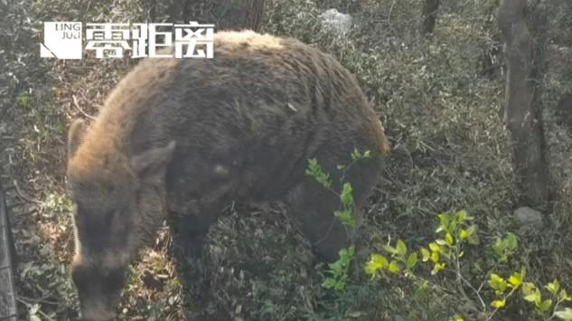 第4534頁