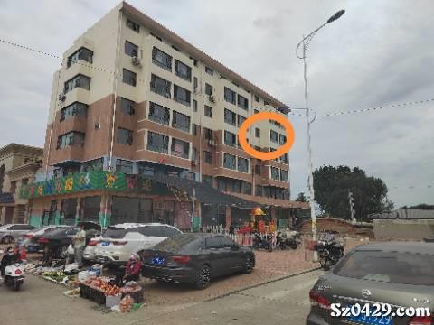 樂陵房屋出租最新信息概覽，樂陵房屋最新出租信息總覽