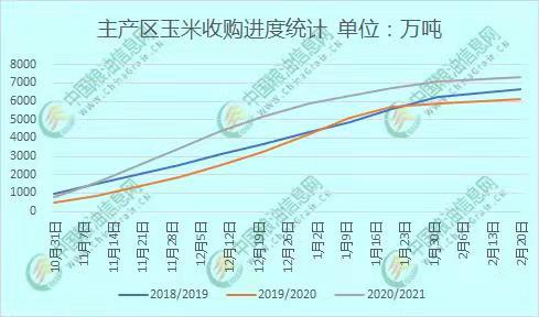 全國玉米價(jià)格最新行情分析，全國玉米價(jià)格最新行情解析