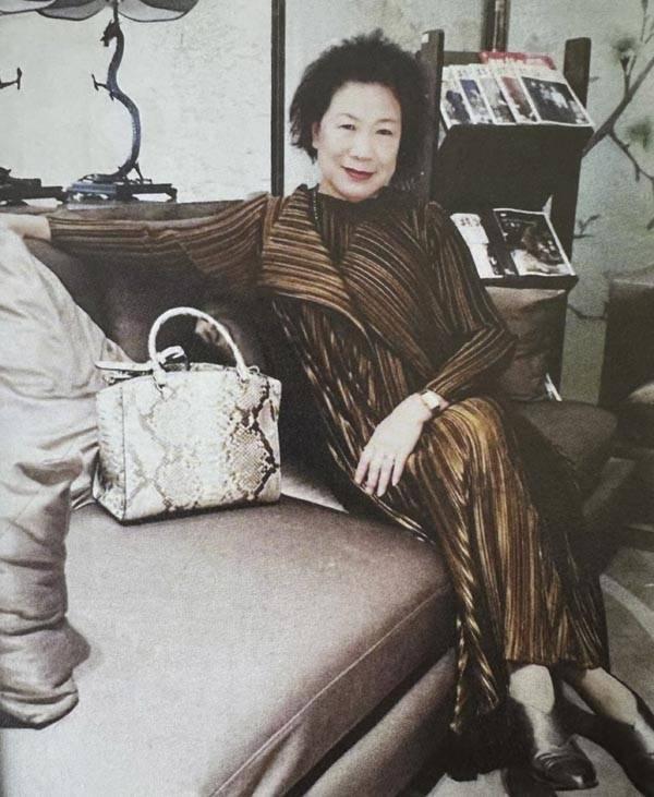 中藝財富最新消息全面解析，中藝財富最新消息全面解讀