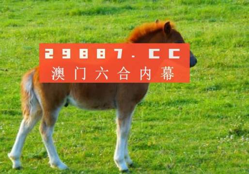 警惕新澳一肖一碼背后的違法犯罪問題，警惕新澳一肖一碼背后的犯罪風(fēng)險