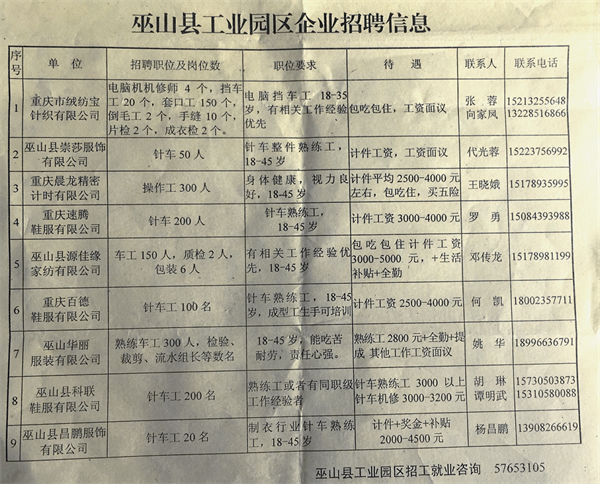 臨港工業(yè)園最新招聘動態(tài)及職業(yè)機會展望，臨港工業(yè)園招聘動態(tài)更新與職業(yè)機會展望