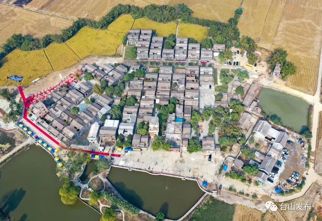 草二村的最新消息，草二村最新動態(tài)簡報