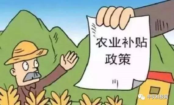 農(nóng)村土地補(bǔ)貼最新政策，推動農(nóng)業(yè)現(xiàn)代化與鄉(xiāng)村振興，農(nóng)村土地補(bǔ)貼最新政策助力農(nóng)業(yè)現(xiàn)代化與鄉(xiāng)村振興齊頭并進(jìn)