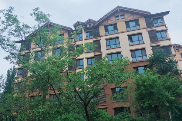關(guān)于由山由谷的最新消息，山由谷最新動態(tài)報(bào)道速遞