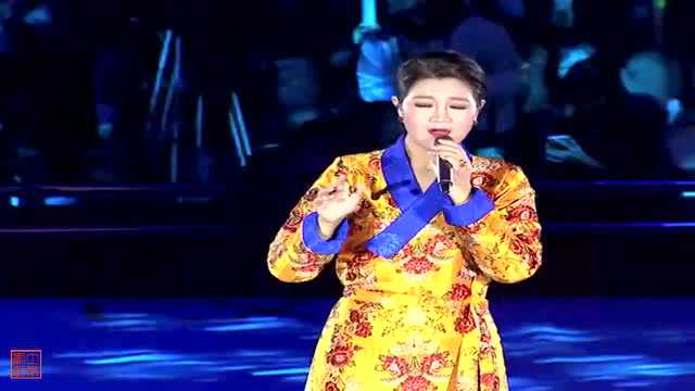 降央卓瑪最新演唱會——音樂的盛宴與情感的狂歡，降央卓瑪最新演唱會，音樂的盛宴，情感的狂歡夜