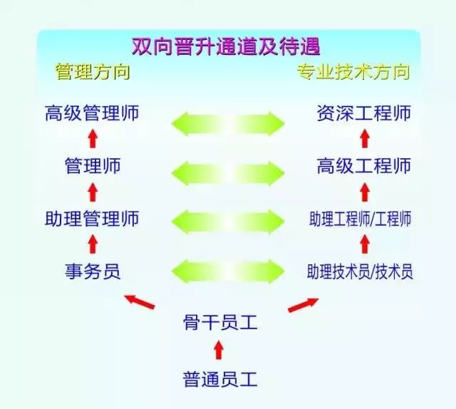 立訊精密最新招聘信息概覽，立訊精密最新招聘信息全面解析