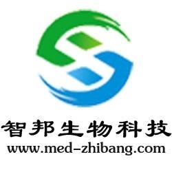 武漢維新智云科技有限公司，引領(lǐng)科技前沿，塑造數(shù)字未來，武漢維新智云科技，引領(lǐng)數(shù)字未來，科技前沿領(lǐng)航者