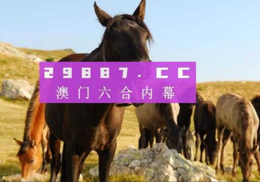 澳門管家婆與肖一碼，獨(dú)特的視角與精準(zhǔn)的預(yù)測(cè)，澳門管家婆與肖一碼，獨(dú)特視角與精準(zhǔn)預(yù)測(cè)揭秘