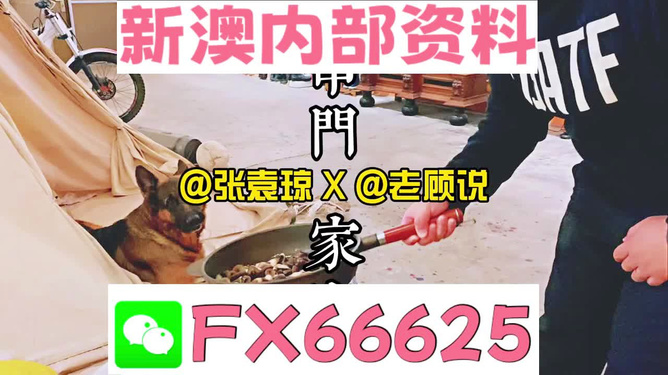 探索與解析 第6頁(yè)
