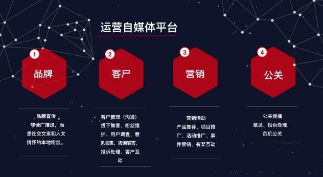 新奧天天精準(zhǔn)資料大全，探索與解析，新奧天天精準(zhǔn)資料大全，深度探索與全面解析
