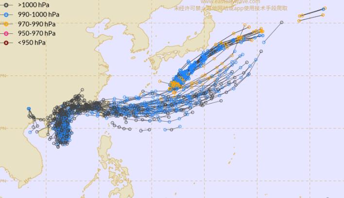 今年二號(hào)臺(tái)風(fēng)最新消息及其影響分析，今年二號(hào)臺(tái)風(fēng)最新動(dòng)態(tài)及其影響深度解析