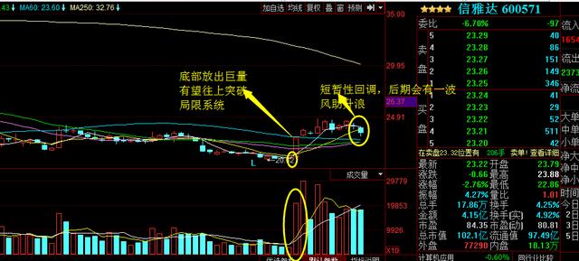 浙大網(wǎng)新為何不漲，深度探究與理性分析，浙大網(wǎng)新股價(jià)不漲背后的原因深度探究與理性分析