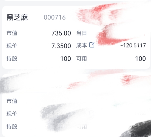 黑芝麻股票值得長期持有嗎？深度解析與前景展望，黑芝麻股票長期持有價值深度解析與前景展望