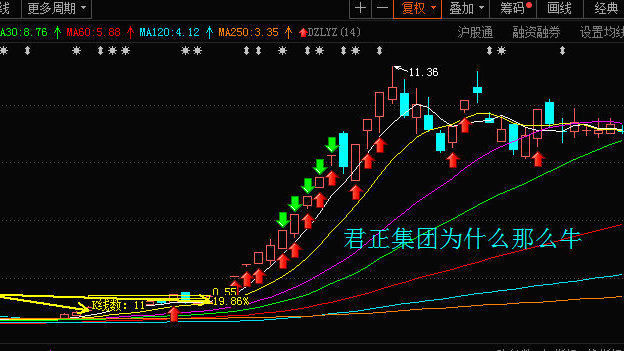 君正云通，一只10倍牛股的成長之路，君正云通，牛股成長之路揭秘，邁向十倍增長之路