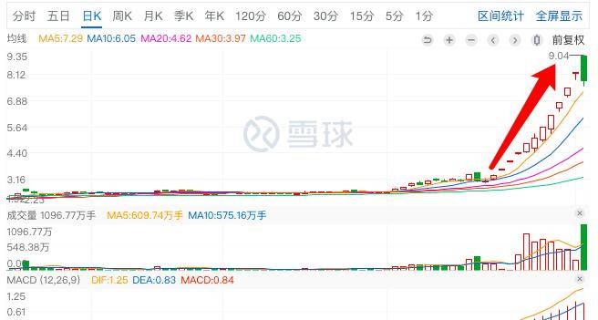 君正集團，是妖股還是價值投資之選？，君正集團，價值投資還是妖股之爭？