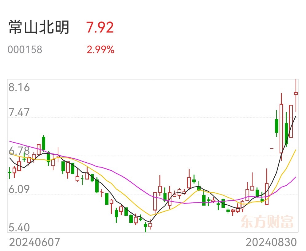 常山北明的未來(lái)目標(biāo)價(jià)，探索與預(yù)測(cè)，常山北明未來(lái)目標(biāo)價(jià)探索及預(yù)測(cè)分析