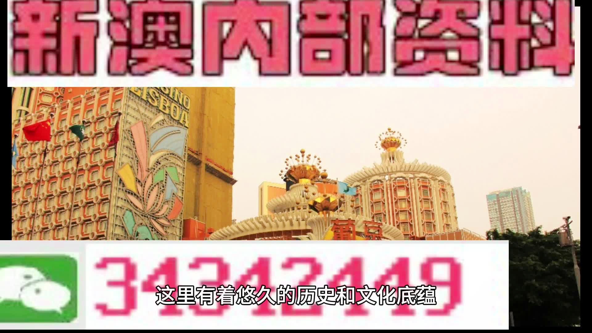 新澳門免費(fèi)資料大全在線查看——警惕背后的風(fēng)險與犯罪問題，警惕背后的風(fēng)險與犯罪問題，新澳門免費(fèi)資料在線查看需謹(jǐn)慎