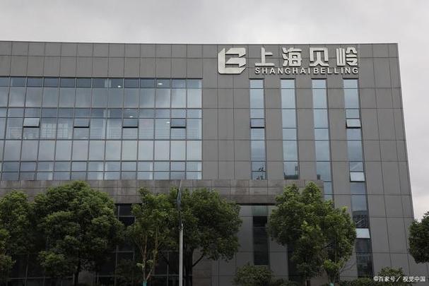 上海貝嶺華大半導(dǎo)體重組，共創(chuàng)行業(yè)新篇章，上海貝嶺與華大半導(dǎo)體攜手重組，共創(chuàng)半導(dǎo)體行業(yè)新篇章