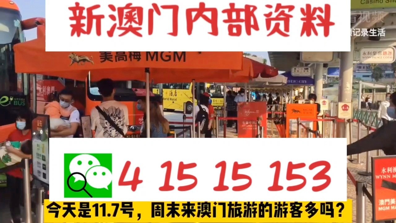 關(guān)于新澳門資料大全及家野中特的探討——警惕違法犯罪風(fēng)險，澳門資料大全及家野中特探討，警惕潛在違法犯罪風(fēng)險