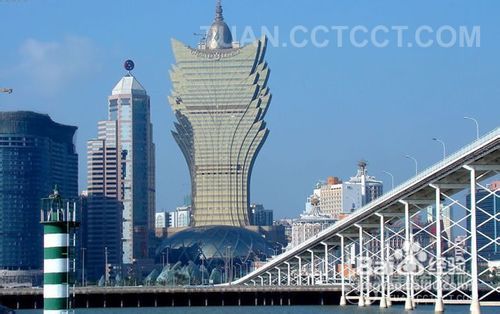 關(guān)于澳門新資料查詢的重要性及其潛在影響，探討違法犯罪問題背后的深層含義與應(yīng)對策略，澳門新資料查詢的重要性，深層犯罪問題背后的策略與潛在影響探討