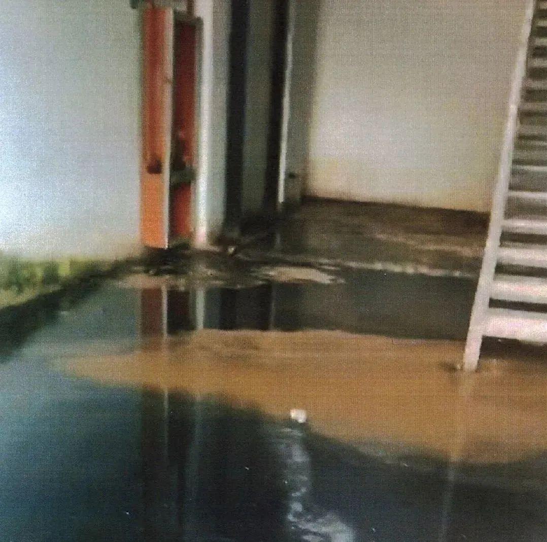 第3485頁