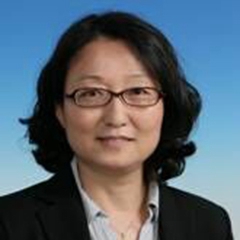 劉麗萍的一生，奮斗與成就，劉麗萍的奮斗之路，一生成就與影響