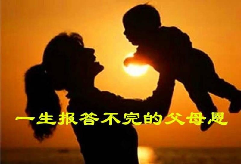 最新敬親恩，珍視親情，感恩父母，珍視親情，感恩父母，傳遞敬親恩情