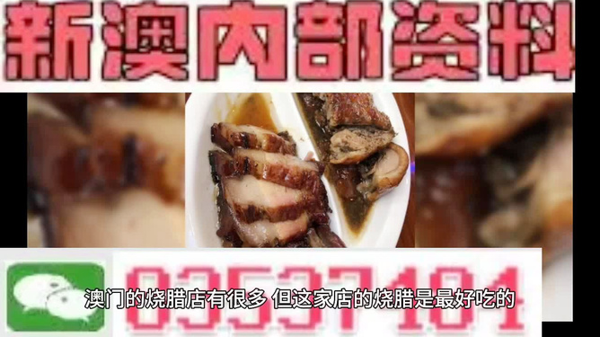 新澳2024正版資料免費(fèi)公開，探索前沿科技與實(shí)用信息的交匯點(diǎn)，新澳2024正版資料免費(fèi)公開，前沿科技與實(shí)用信息的融合交匯