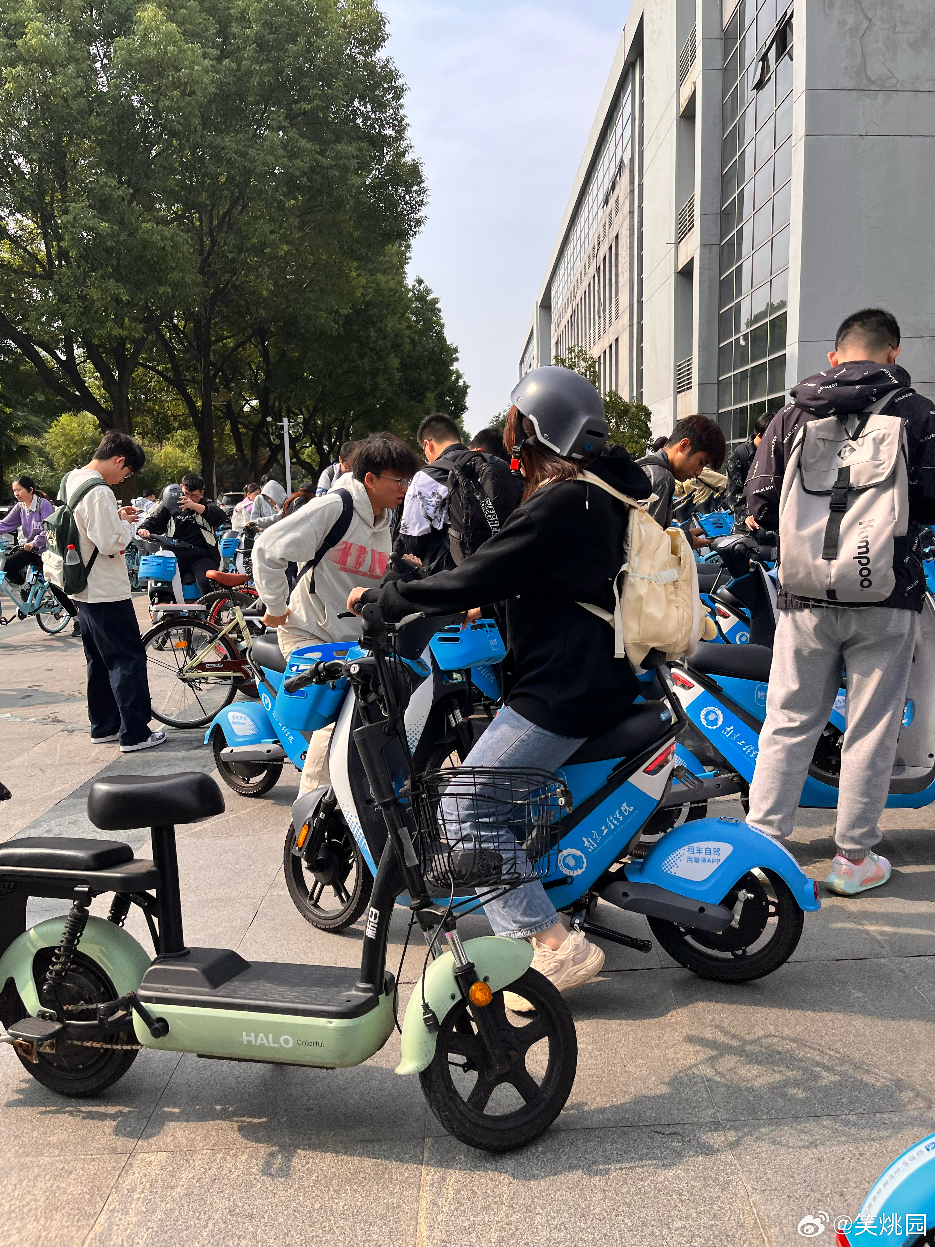 高校如何平衡電動車管理和師生需求，策略與實(shí)踐，高校電動車管理與師生需求平衡，策略與實(shí)踐之道