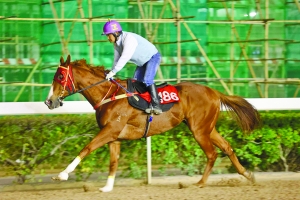 關(guān)于澳門特馬今晚開獎(jiǎng)的討論，澳門特馬今晚開獎(jiǎng)討論背后的犯罪風(fēng)險(xiǎn)警示
