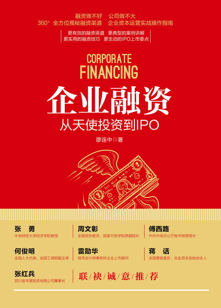 最新融資企業(yè)的崛起與挑戰(zhàn)，最新融資企業(yè)，崛起與面臨的挑戰(zhàn)