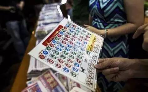 香港彩票最近五十期開獎號碼分析，香港彩票近五十期開獎號碼解析