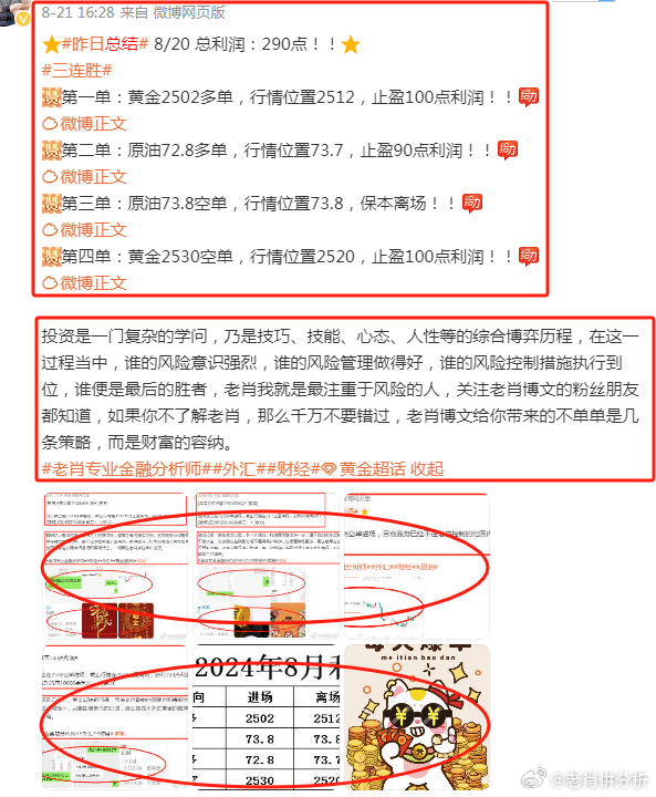 揭秘2024年管家婆的馬資料——探尋未來(lái)趨勢(shì)與特點(diǎn)，揭秘未來(lái)趨勢(shì)，2024年管家婆的馬資料特點(diǎn)展望
