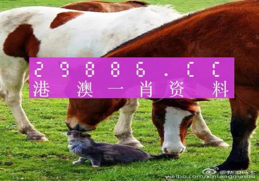澳門一碼中一肖的更新日期與預(yù)測(cè)魅力，澳門一碼精準(zhǔn)預(yù)測(cè)生肖更新與預(yù)測(cè)魅力揭秘