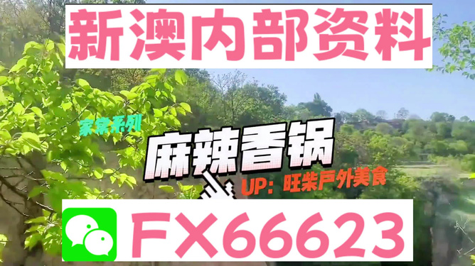 新澳精準資料免費提供的深度解析，新澳精準資料深度解析，免費提供的內(nèi)幕揭秘