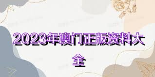 澳門正版免費全年資料大全與旅游團，探索澳門的魅力之旅，探索澳門魅力之旅，正版全年資料大全與精選旅游團