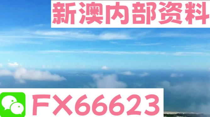 新澳2024今晚開獎(jiǎng)資料詳解，新澳2024今晚開獎(jiǎng)資料全面解析