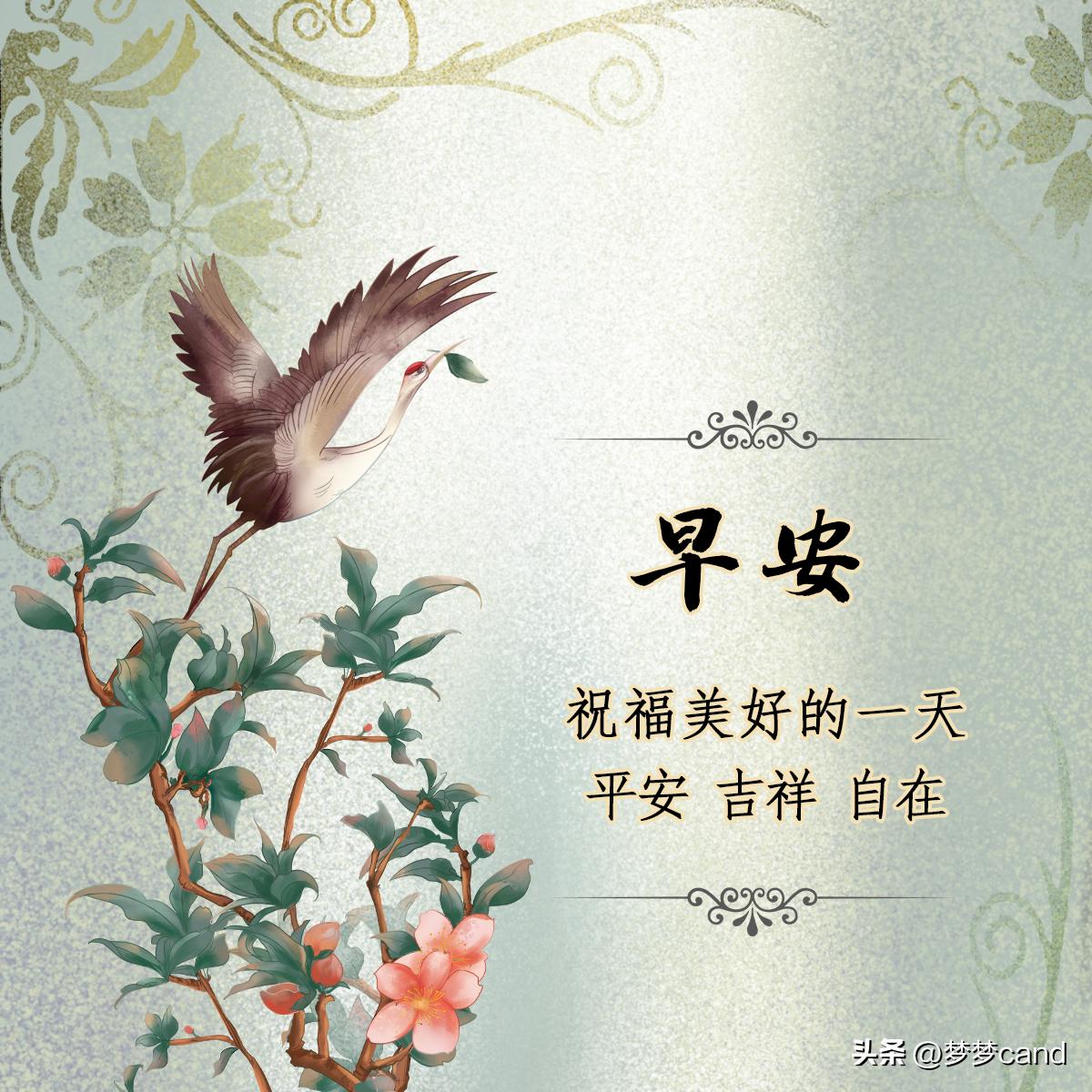 探索2024天天彩正版資料大全——彩票玩家的指南，彩票玩家必備指南，探索2024天天彩正版資料大全