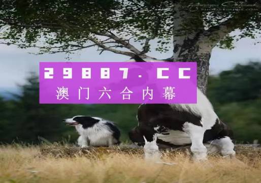澳門今晚開特馬四不像圖——探索澳門彩票的奧秘，澳門彩票奧秘探索，特馬四不像圖今晚揭曉