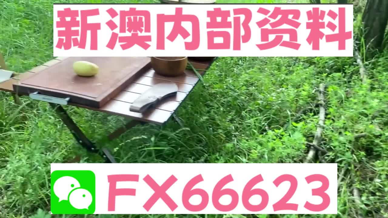 新澳天天開(kāi)獎(jiǎng)資料大全與旅游攻略詳解，新澳天天開(kāi)獎(jiǎng)資料及旅游攻略詳解大全