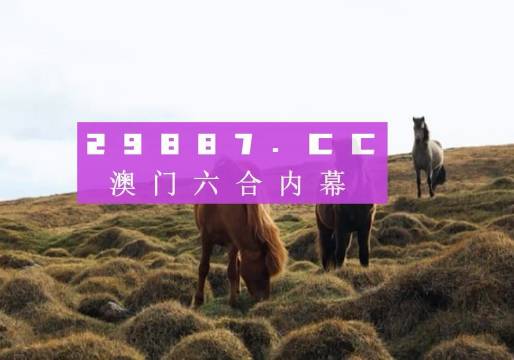 澳門彩的開(kāi)獎(jiǎng)結(jié)果，探索與期待，澳門彩開(kāi)獎(jiǎng)結(jié)果揭秘，探索與期待