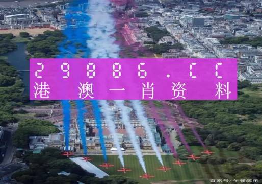 澳門一肖一碼一必中一肖同舟前進的獨特魅力與探索，澳門一肖一碼，獨特魅力的探索與前進之路