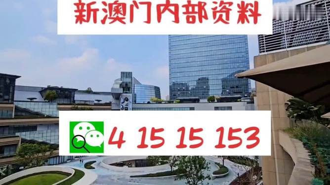 新澳一碼資料，深度解析與應(yīng)用前景，新澳一碼資料深度解析與應(yīng)用前景展望