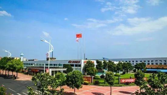 克明面業(yè)股票，行業(yè)翹楚的投資價值分析，克明面業(yè)股票，行業(yè)翹楚的投資價值深度解析