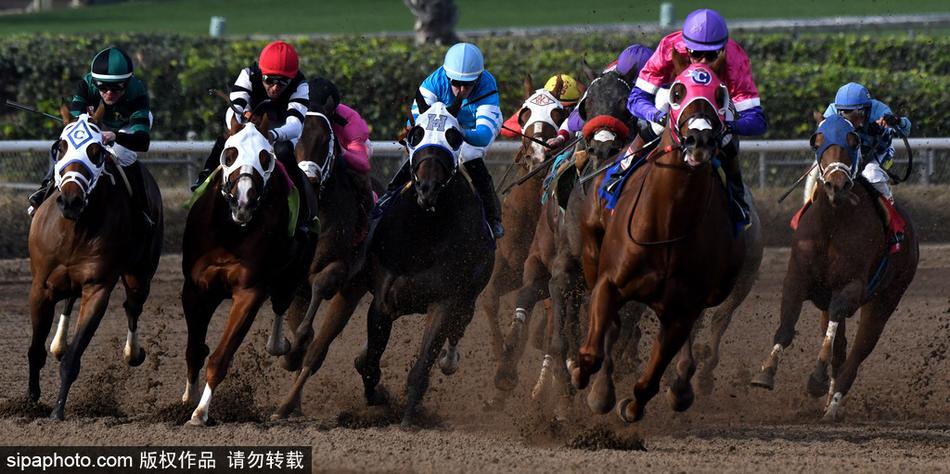 探索神秘數(shù)字組合，66O678與王中王定碼四不像一肖，揭秘神秘數(shù)字組合，王中王定碼四不像一肖與數(shù)字組合探索
