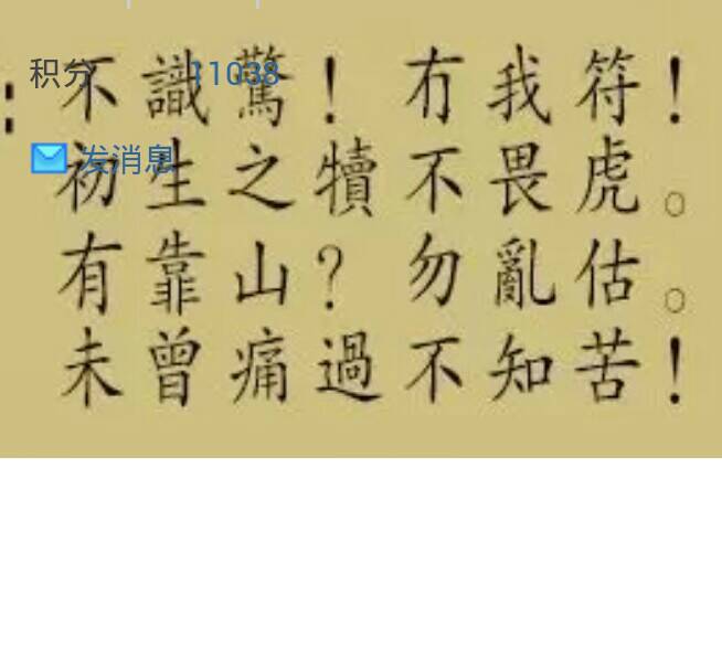 劉伯溫高手論壇與解肖之道，深度探索一句話的智慧，劉伯溫高手論壇與解肖之道，深度解析一句話的智慧之道