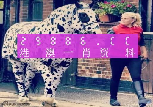 王中王一肖一特一中澳門，探索與洞察，王中王一肖一特一中澳門，深度探索與獨(dú)特洞察
